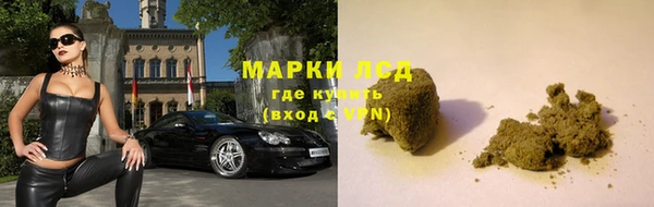 прущие крисы Аркадак