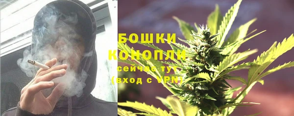 прущие крисы Аркадак