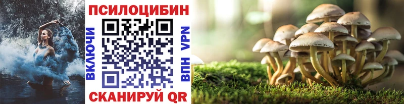 хочу   Собинка  Галлюциногенные грибы прущие грибы 